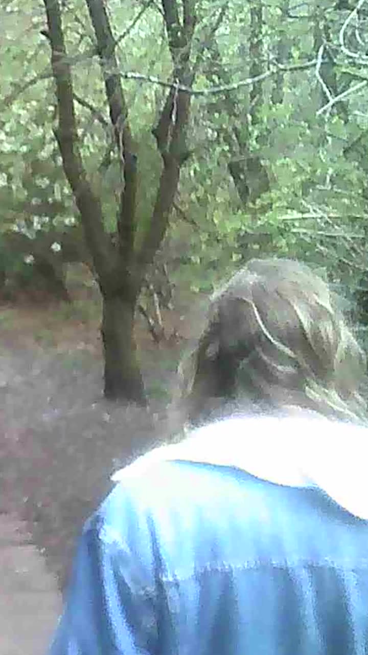 Forest walk shot on the Postcard Cam